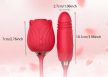 EwToys Rosalique – Léghullámos csiklóizgató lökő vibrátor 2in1